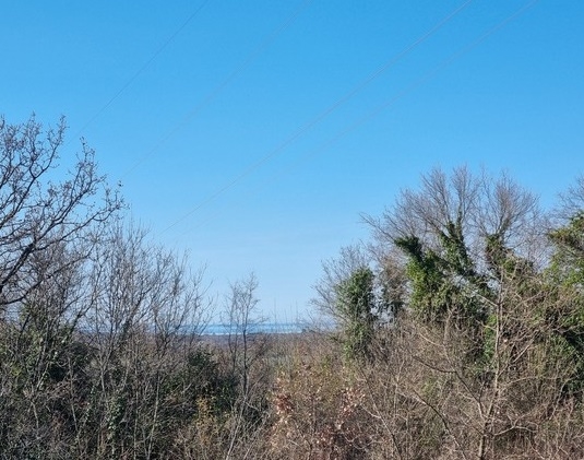 Blick auf einen ländlichen, bewaldeten Bereich, klarer Himmel über Kroatien, Immobilien Kroatien im Hintergrund sichtbar