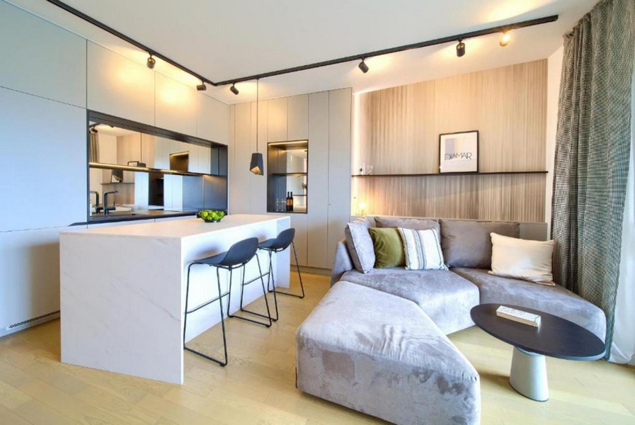 Offener Wohnbereich mit Küche und Sofa