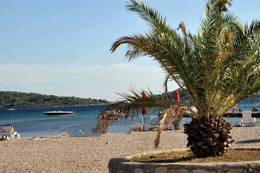 Kiesstrand mit Palmen und Blick auf das Meer in Kroatien