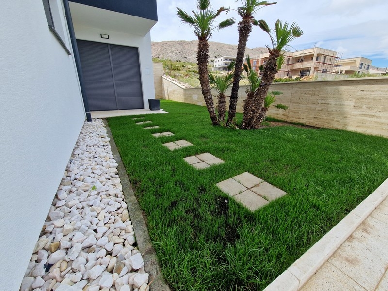Gepflegter Garten mit Palmen und Grünfläche