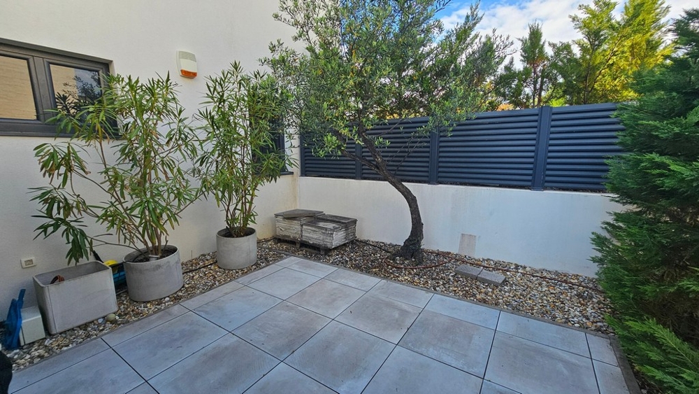 Bepflanzter Gartenbereich mit Terrasse und Olivenbaum