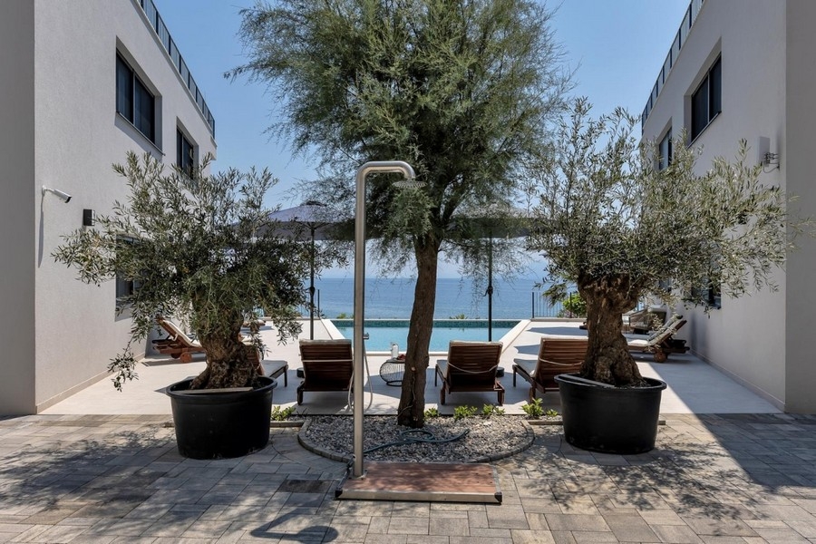 Terrasse mit Olivenbaum und Blick aufs Meer