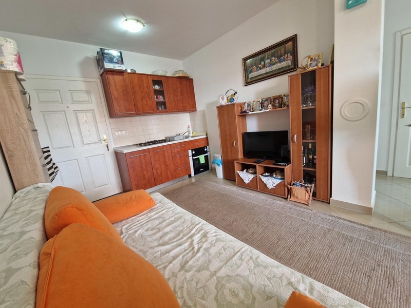Wohnbereich mit Küchenzeile und Sofa