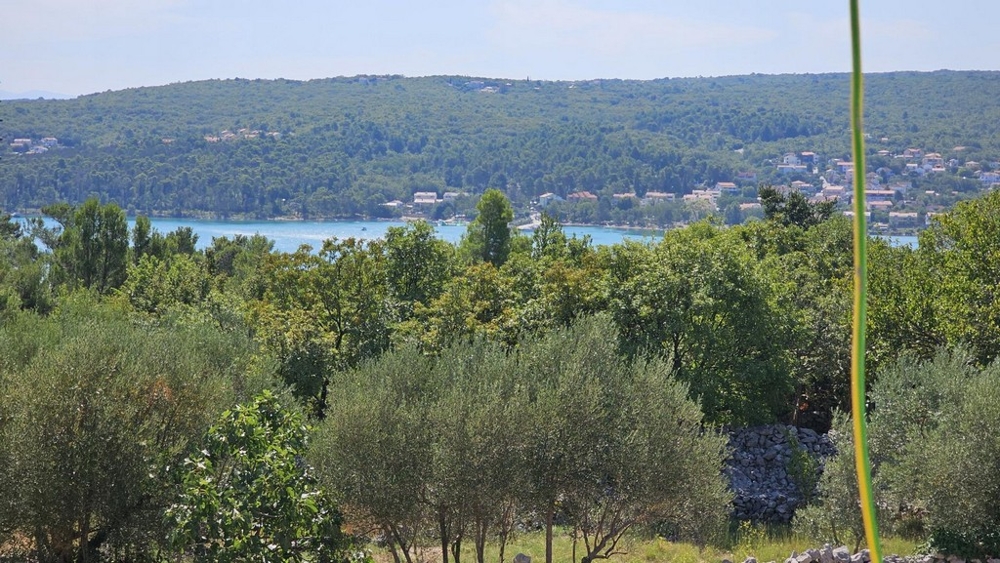 Ausblick über Olivenbäume auf die Bucht von Soline