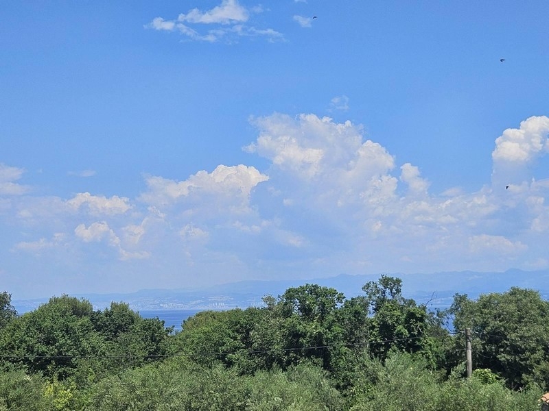 Meerblick vom Balkon über die Bäume bis zum Festland