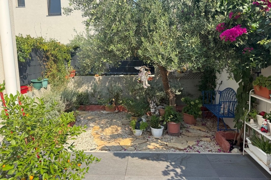 Garten mit altem Olivenbaum und Blumen